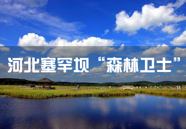河北塞罕壩“森林衛(wèi)士”：滿樹綠色就是我們的驕傲